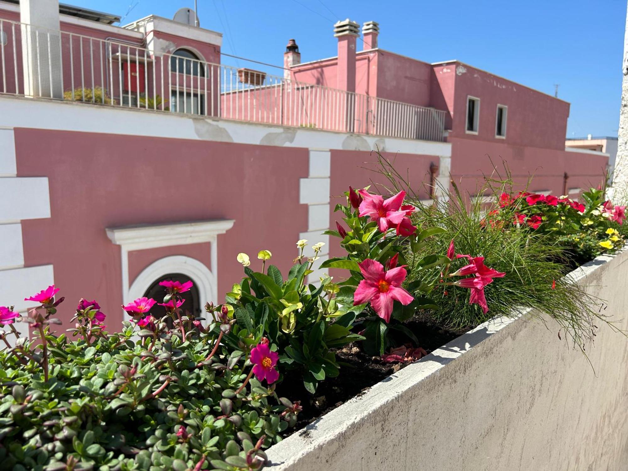 Bed and Breakfast Trame Dimora Rachele Polignano a Mare Zewnętrze zdjęcie