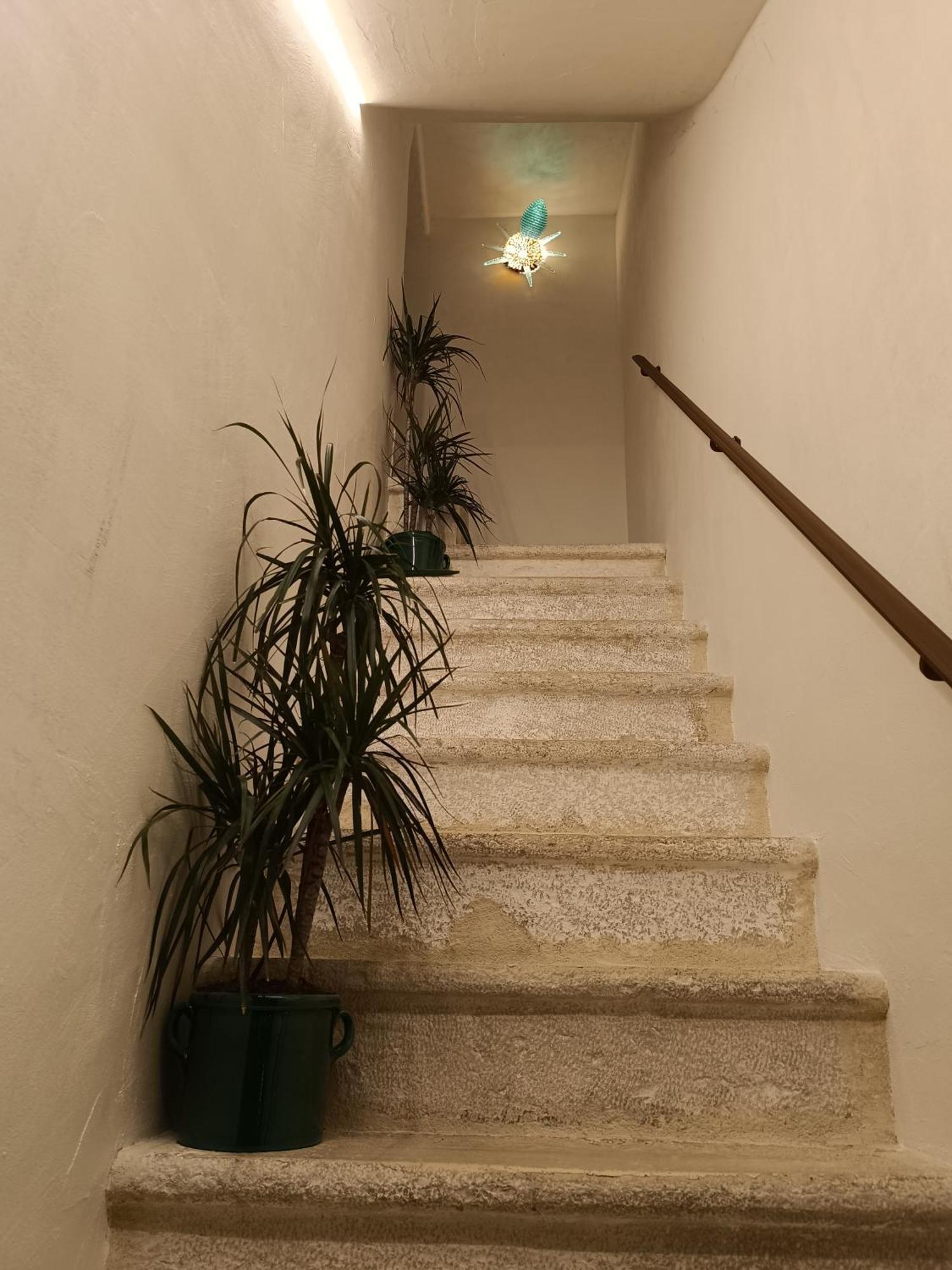 Bed and Breakfast Trame Dimora Rachele Polignano a Mare Zewnętrze zdjęcie
